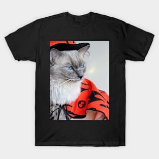 Halloween ragdoll T-Shirt